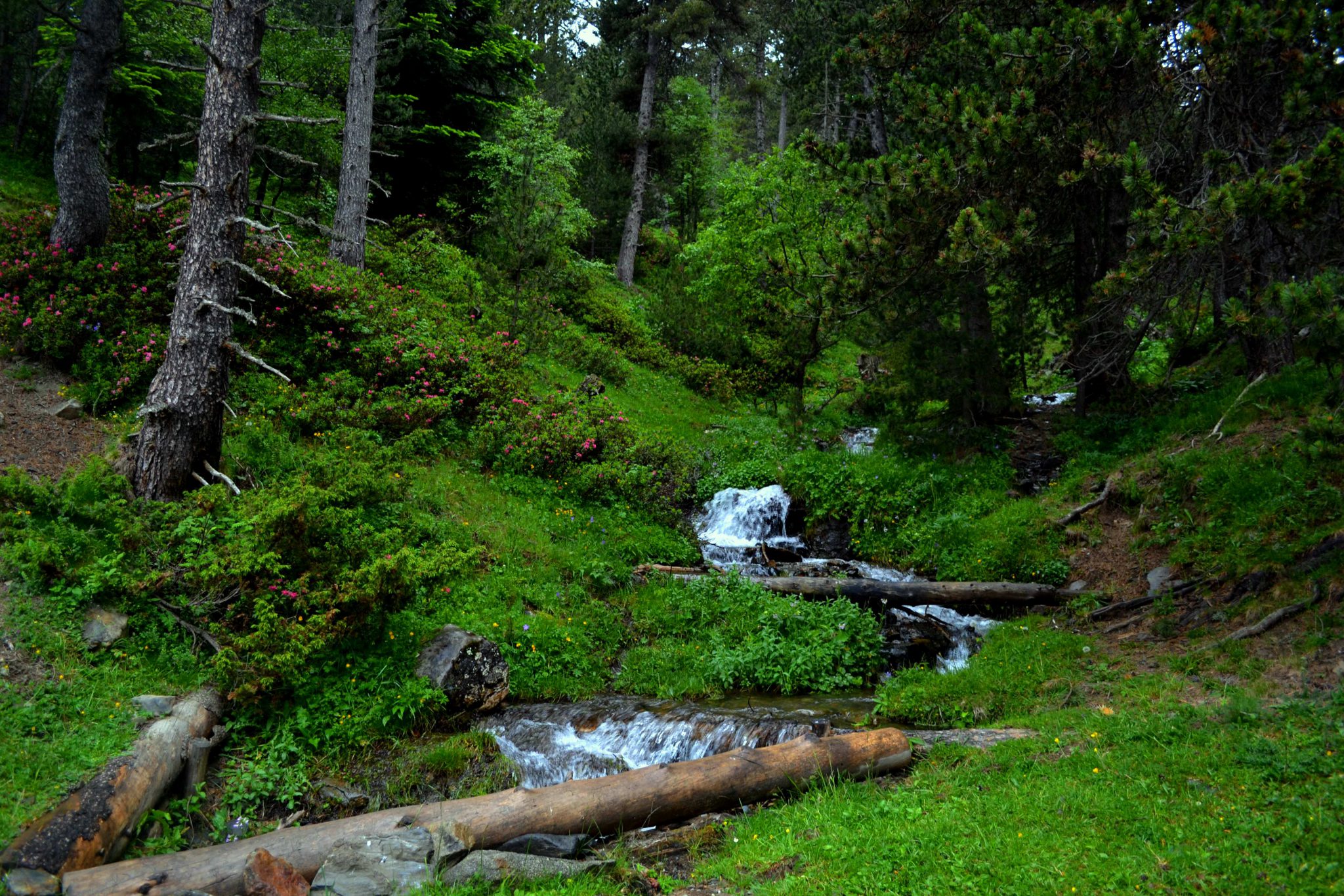 Vista del Pirineu des de la Vall d'Àneu