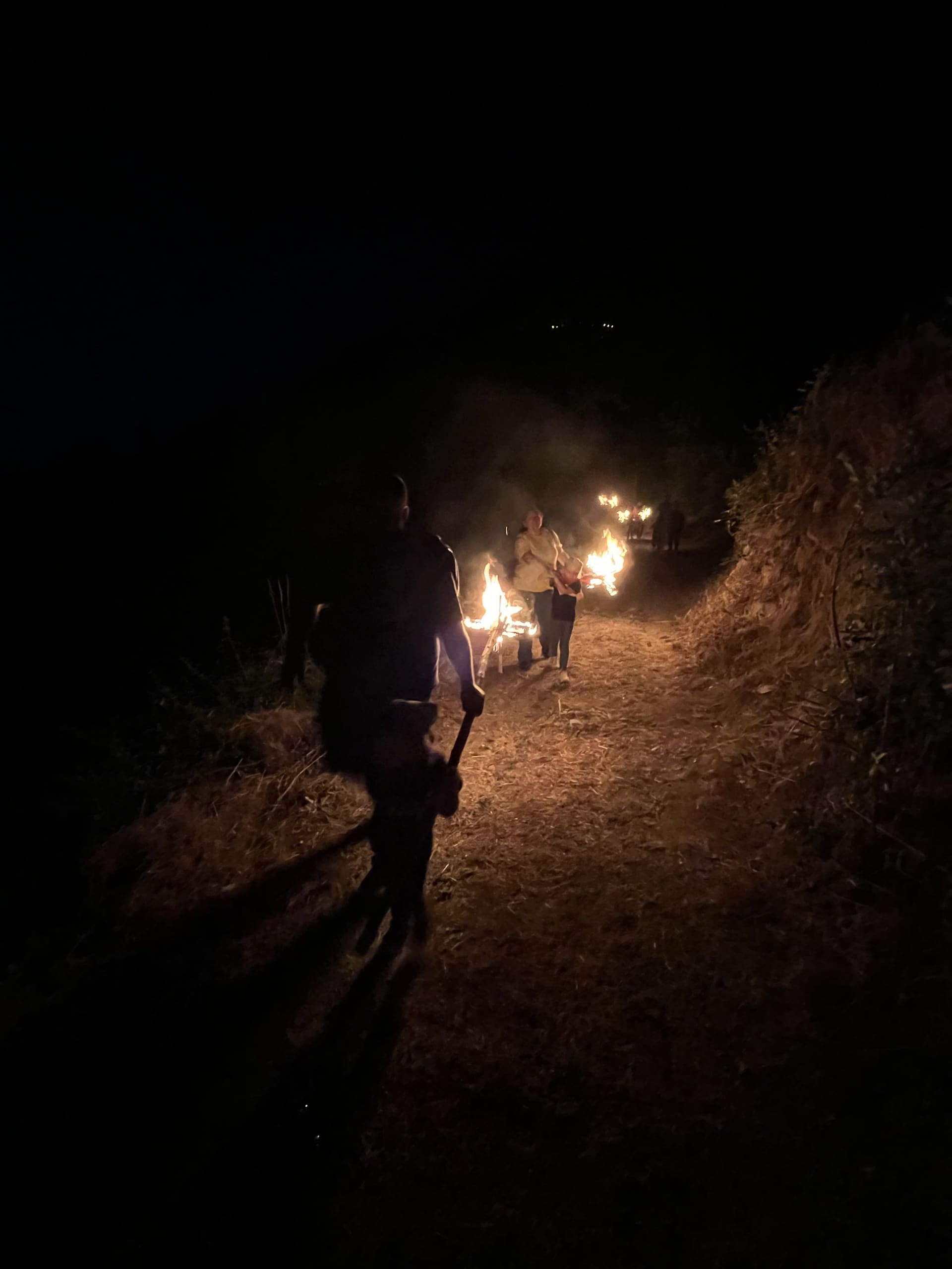 Falles del Pirineu