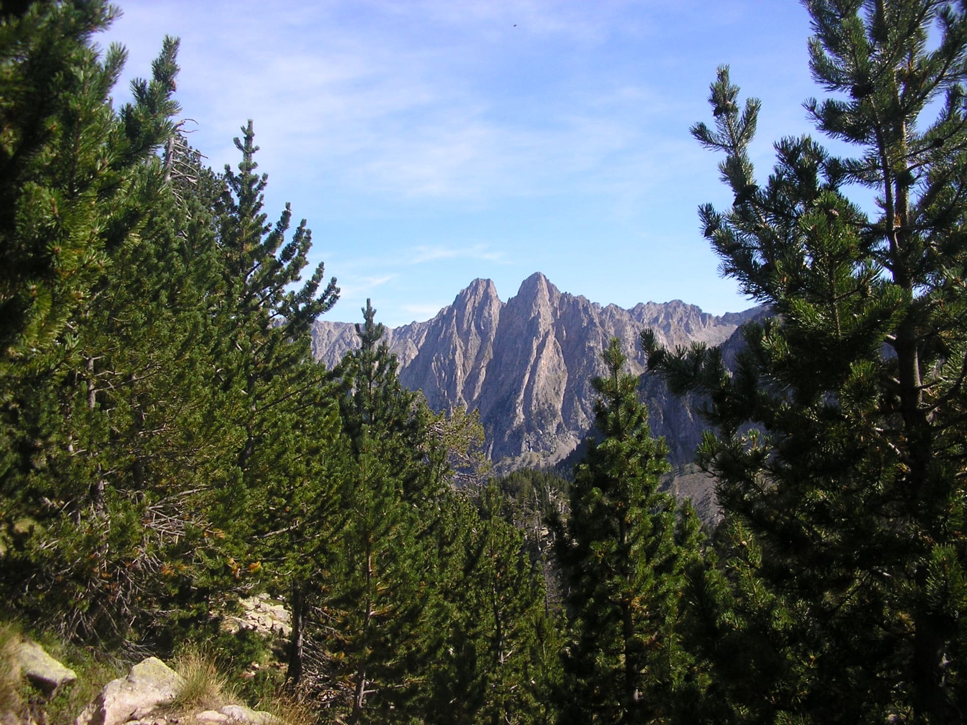Natura salvatge al voltant de Casa Campaner