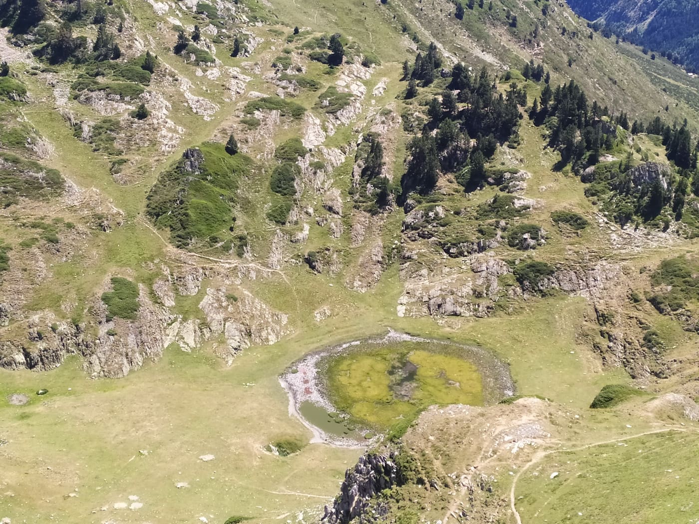 Estany d'alta muntanya