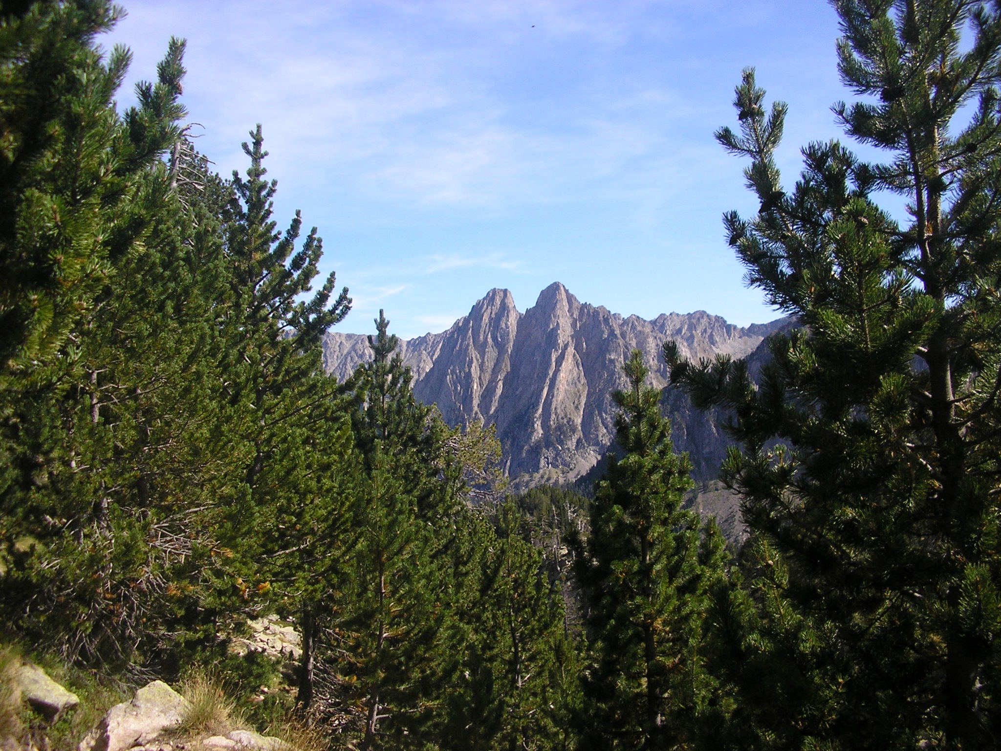 Natura salvatge al voltant de Casa Campaner
